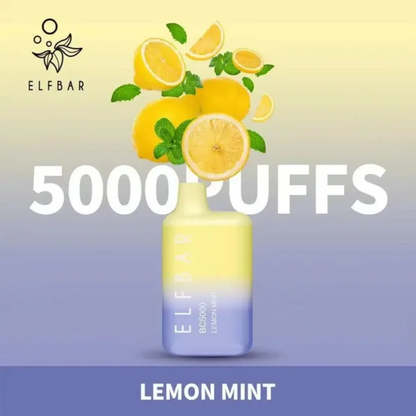 ELF BAR BC5000 5% Nicotine Portable Rechargeable Bulk Buy Disposable Vape Wholesale - Image 2