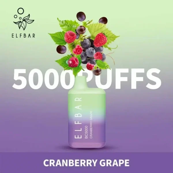 ELF BAR BC5000 5% Nicotine Portable Rechargeable Bulk Buy Disposable Vape Wholesale - Image 11