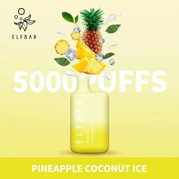 ELF BAR BC5000 5% Nicotine Portable Rechargeable Bulk Buy Disposable Vape Wholesale - Image 10