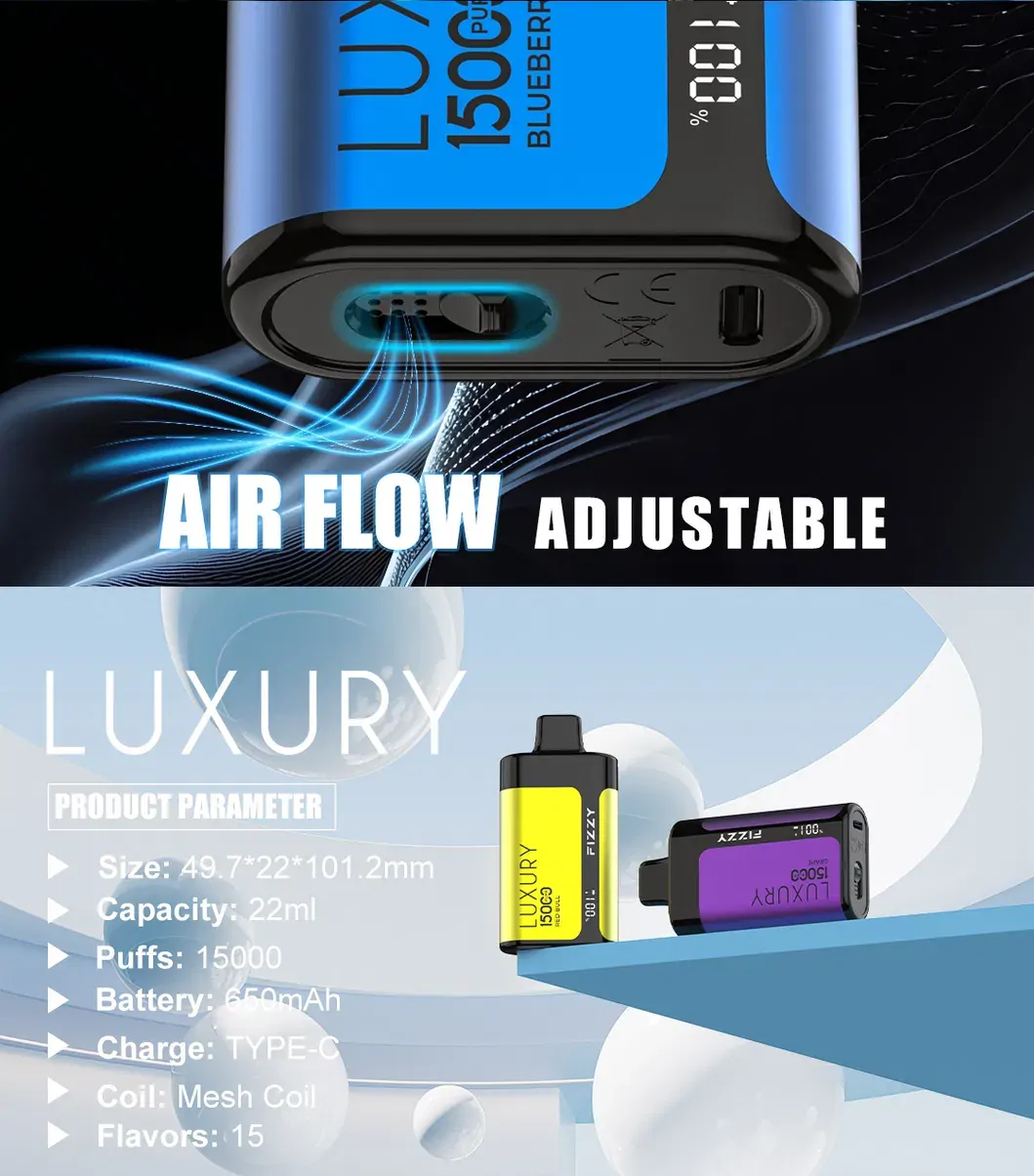 Fizzy Luxury 15000 Puffs 2% 5% Low Nicotine LCD Screen Bulk Buy Multiple flavors Rechargeable Disposable Vapes Pen Wholesale - European Warehouse Stock