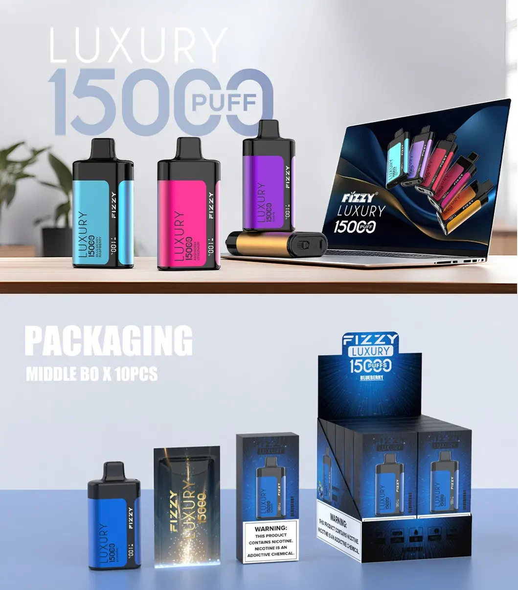 Fizzy Luxury 15000 Puffs 2% 5% Low Nicotine LCD Screen Bulk Buy Multiple flavors Rechargeable Disposable Vapes Pen Wholesale - European Warehouse Stock