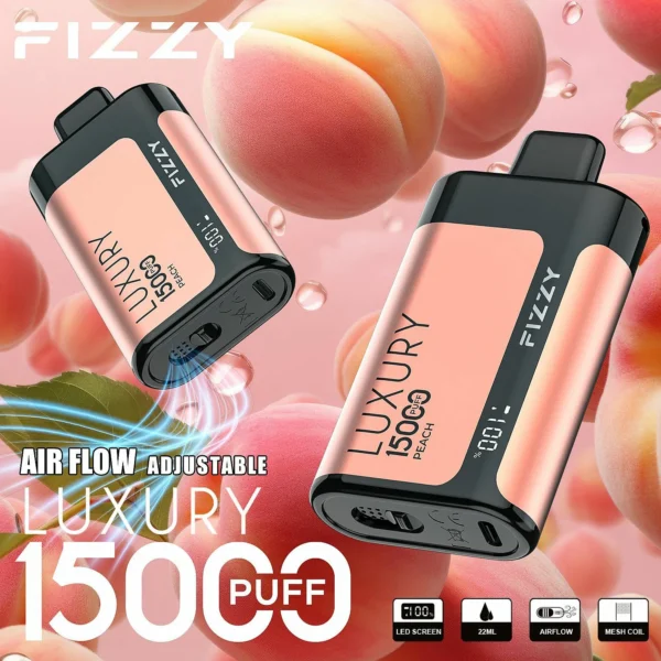 Fizzy Luxury 15000 Puffs 2% 5% Low Nicotine LCD Screen Bulk Buy Multiple flavors Rechargeable Disposable Vapes Pen Wholesale - European Warehouse Stock - Image 10