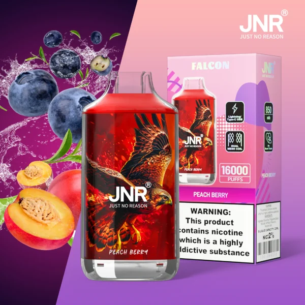 JNR Falcon 16000 Puffs Dual Mesh Crystal Craft Adjustable Airflow  2% Low Nicotine Bulk Buy Wholesale Rechargeable Disposable Vapes Pen - Image 46