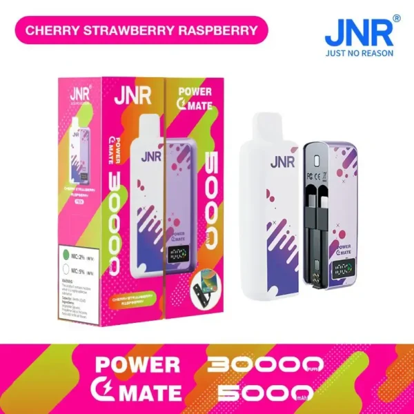 JNR Power Mate 30000 Puffs Dual Mesh Smart Display  0% 2% 5% Low Nicotine Bulk Buy Wholesale Portable Rechargeable Disposable Vapes Pen - Image 6