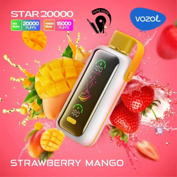 Vozol Star 20000 Puffs Dual Mesh Dual Mode Mirror Screen 5% Low Nicotine Bulk Buy Wholesale Rechargeable Disposable Vapes Pen - Image 10